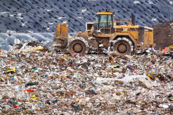 Karen Laslo, The Landfill