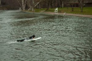 Sycamore Pool and Surfer