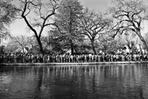 Polar Bear Swim 2013 contestants
