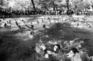 Polar Bear Swim 2013 swimmers, Sycamore Pool, Bidwell Park