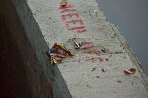 Broken glass on the fish ladder