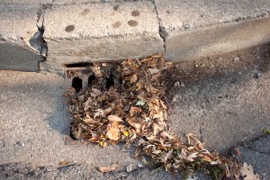 E. Sacramento Ave. storm drain today