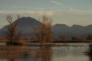 North side of Sutter Buttes as seen from Gray Lodge Wildlife Refuge