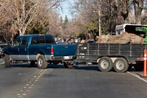 The oak is hauled away.
