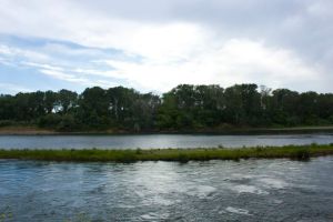  All local creeks flow into the beautiful Sacramento River.