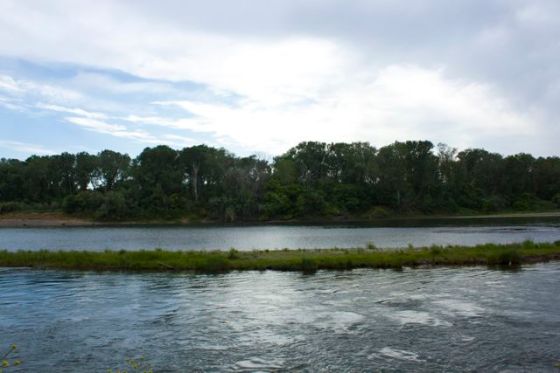  Sacramento River