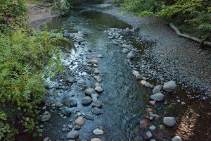 Chico Creek, 9/14, shrunk down because of the drought. 