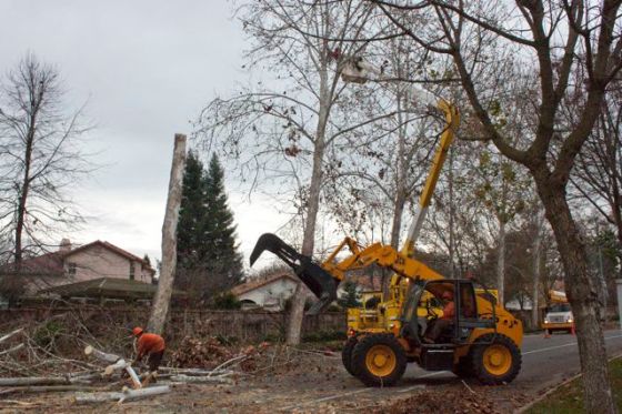 Crew hurries to clean-up as the storm approaches. Let's hope the curbs and street haven't been damaged.