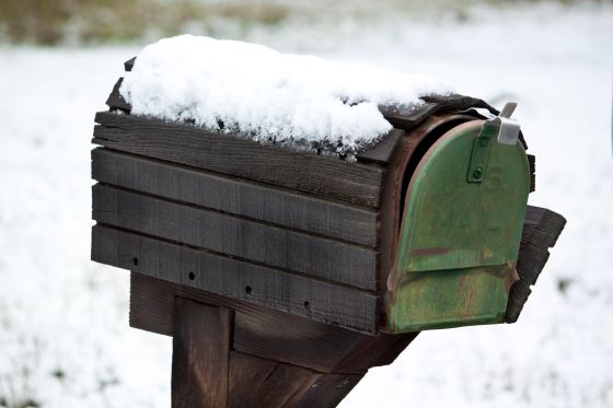 Chico Foothills, winter 2011