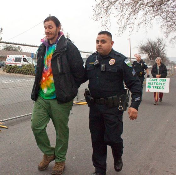 People start getting cited.