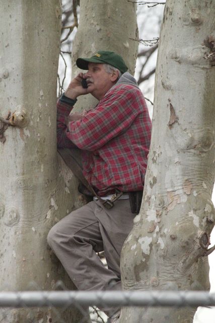 Al talks to his wife while from up in one of the trees.