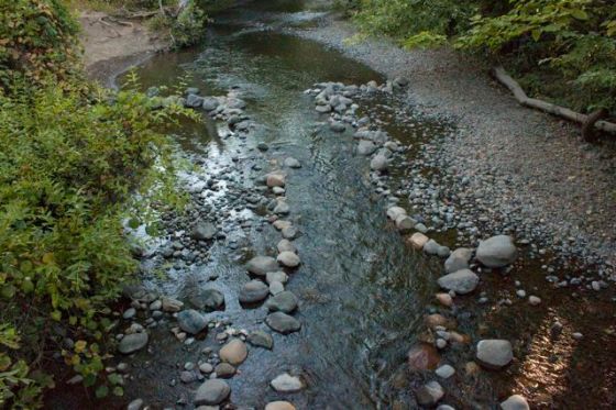 _MG_2688ChicoCrkMay2015