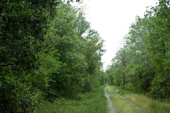 A nice path walking path already exists there.