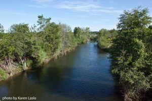 I didn't know where I was but I think this is Butte Creek.