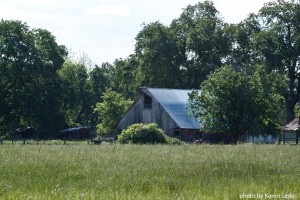 _MG_7396barn
