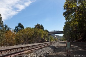 Oil train fire site. This area was covered in lush green vegetation