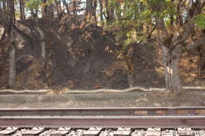 Oil "booms" still present