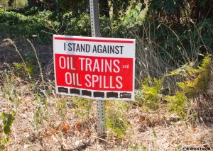 These signs have begun to be displayed.