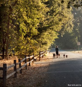One Mile, Bidwell Park