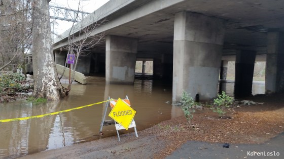 Lower Bidwell Park next to the freeway.