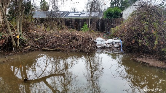 Sandbags to keep the creek from flooding houses on the south side of Bidwell Park.