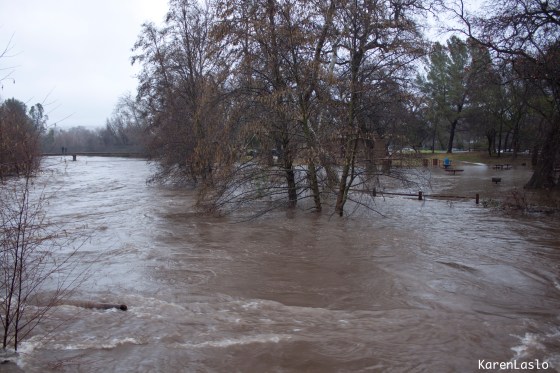 Chico Creek looking east as seen from the flood gate bridge.