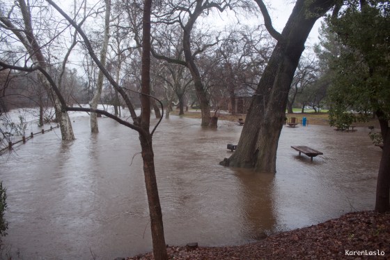 Five Mile picnic area.