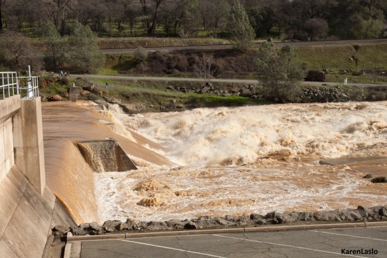 Muddy Feather River, just east of the fish hatchery.